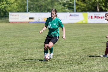 Bild 366 - F SG NieBar - IF Stjernen Flensborg : Ergebnis: 2:0